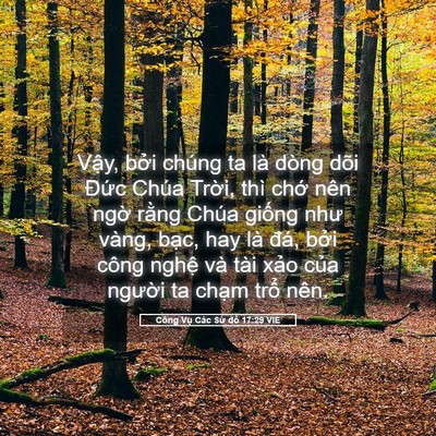 Picture 05 - Công Vụ Các Sứ đồ 17:29 VIE - Vậy, bởi chúng ta là dòng dõi Đức - Bible Verse Picture