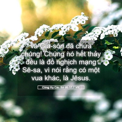 Picture 05 - Công Vụ Các Sứ đồ 17:7 VIE - và Gia-sôn đã chứa chúng! Chúng nó hết - Bible Verse Picture
