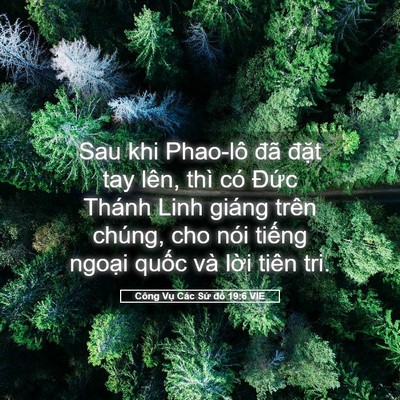 Picture 05 - Công Vụ Các Sứ đồ 19:6 VIE - Sau khi Phao-lô đã đặt tay lên, thì có - Bible Verse Picture