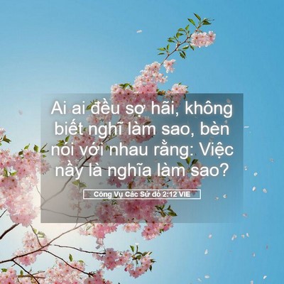 Picture 05 - Công Vụ Các Sứ đồ 2:12 VIE - Ai ai đều sợ hãi, không biết nghĩ làm - Bible Verse Picture