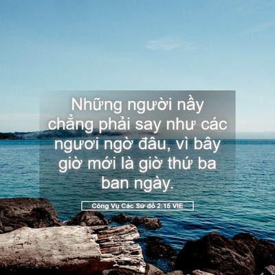 Picture 05 - Công Vụ Các Sứ đồ 2:15 VIE - Những người nầy chẳng phải say như - Bible Verse Picture