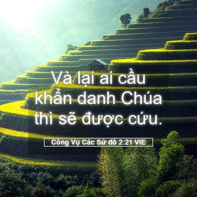 Picture 05 - Công Vụ Các Sứ đồ 2:21 VIE - Và lại ai cầu khẩn danh Chúa thì sẽ - Bible Verse Picture
