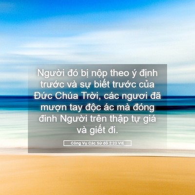 Picture 05 - Công Vụ Các Sứ đồ 2:23 VIE - Người đó bị nộp theo ý định trước - Bible Verse Picture