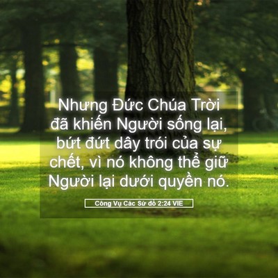 Picture 05 - Công Vụ Các Sứ đồ 2:24 VIE - Nhưng Đức Chúa Trời đã khiến Người - Bible Verse Picture