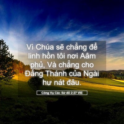 Picture 05 - Công Vụ Các Sứ đồ 2:27 VIE - Vì Chúa sẽ chẳng để linh hồn tôi nơi - Bible Verse Picture