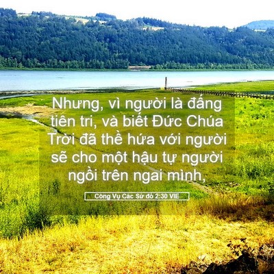 Picture 05 - Công Vụ Các Sứ đồ 2:30 VIE - Nhưng, vì người là đấng tiên tri, và - Bible Verse Picture