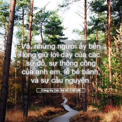 Picture 05 - Công Vụ Các Sứ đồ 2:42 VIE - Vả, những người ấy bền lòng giữ - Bible Verse Picture