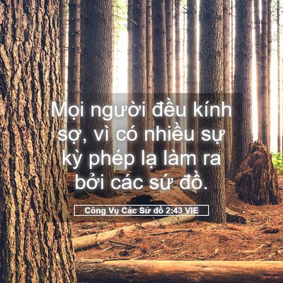 Picture 05 - Công Vụ Các Sứ đồ 2:43 VIE - Mọi người đều kính sợ, vì có nhiều - Bible Verse Picture