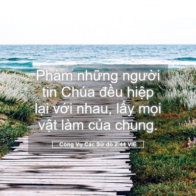 Picture 05 - Công Vụ Các Sứ đồ 2:44 VIE - Phàm những người tin Chúa đều hiệp - Bible Verse Picture