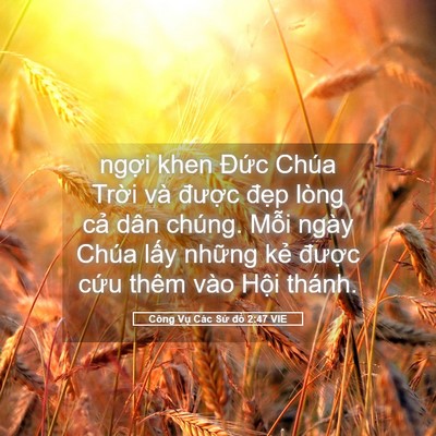 Picture 05 - Công Vụ Các Sứ đồ 2:47 VIE - ngợi khen Đức Chúa Trời và được - Bible Verse Picture