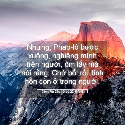 Picture 05 - Công Vụ Các Sứ đồ 20:10 VIE - Nhưng, Phao-lô bước xuống, nghiêng mình - Bible Verse Picture