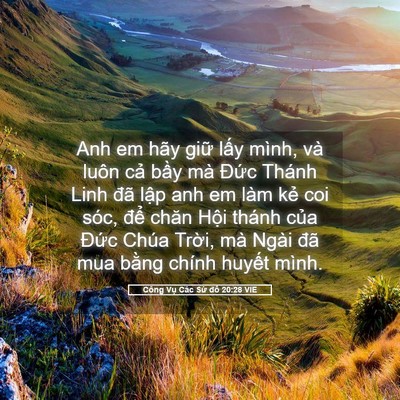 Picture 05 - Công Vụ Các Sứ đồ 20:28 VIE - Anh em hãy giữ lấy mình, và luôn cả - Bible Verse Picture