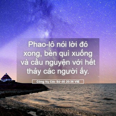 Picture 05 - Công Vụ Các Sứ đồ 20:36 VIE - Phao-lô nói lời đó xong, bèn quì xuống - Bible Verse Picture