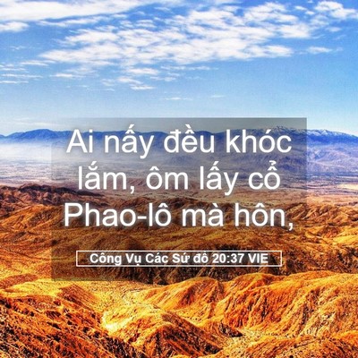 Picture 05 - Công Vụ Các Sứ đồ 20:37 VIE - Ai nấy đều khóc lắm, ôm lấy cổ - Bible Verse Picture