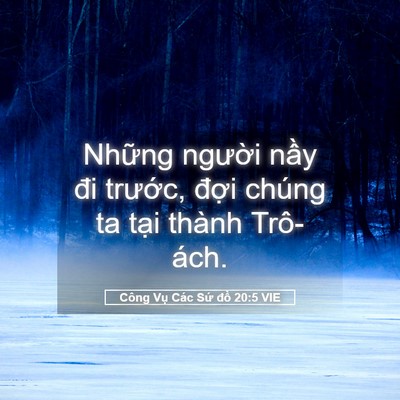 Picture 05 - Công Vụ Các Sứ đồ 20:5 VIE - Những người nầy đi trước, đợi - Bible Verse Picture