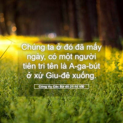 Picture 05 - Công Vụ Các Sứ đồ 21:10 VIE - Chúng ta ở đó đã mấy ngày, có một - Bible Verse Picture