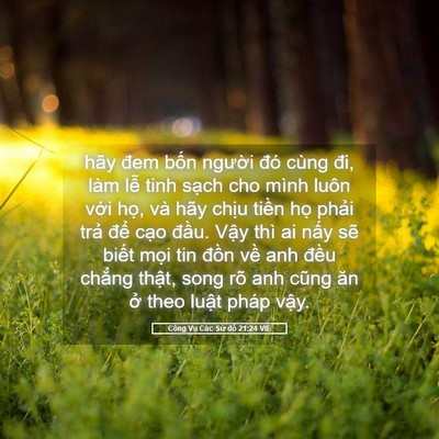 Picture 05 - Công Vụ Các Sứ đồ 21:24 VIE - hãy đem bốn người đó cùng đi, làm - Bible Verse Picture