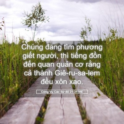 Picture 05 - Công Vụ Các Sứ đồ 21:31 VIE - Chúng đang tìm phương giết người, thì - Bible Verse Picture