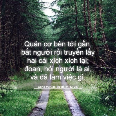 Picture 05 - Công Vụ Các Sứ đồ 21:33 VIE - Quản cơ bèn tới gần, bắt người rồi - Bible Verse Picture