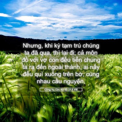 Picture 05 - Công Vụ Các Sứ đồ 21:5 VIE - Nhưng, khi kỳ tạm trú chúng ta đã qua, - Bible Verse Picture