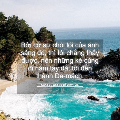 Picture 05 - Công Vụ Các Sứ đồ 22:11 VIE - Bởi cớ sự chói lói của ánh sáng đó, - Bible Verse Picture