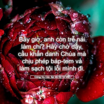 Picture 05 - Công Vụ Các Sứ đồ 22:16 VIE - Bây giờ, anh còn trễ nải làm chi? Hãy - Bible Verse Picture