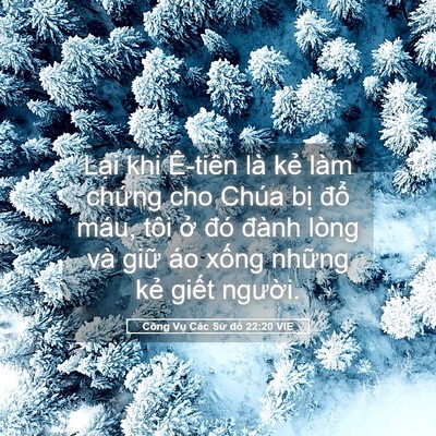 Picture 05 - Công Vụ Các Sứ đồ 22:20 VIE - Lại khi Ê-tiên là kẻ làm chứng cho - Bible Verse Picture