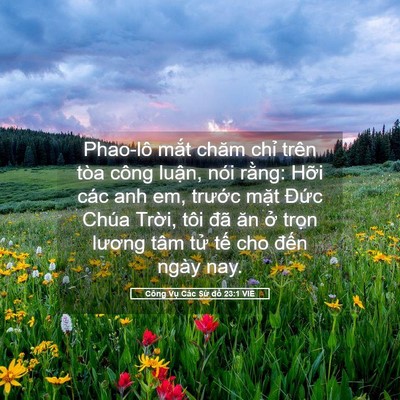 Picture 05 - Công Vụ Các Sứ đồ 23:1 VIE - Phao-lô mắt chăm chỉ trên tòa công - Bible Verse Picture