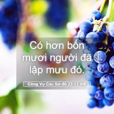 Picture 05 - Công Vụ Các Sứ đồ 23:13 VIE - Có hơn bốn mươi người đã lập mưu - Bible Verse Picture