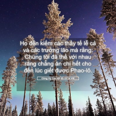 Picture 05 - Công Vụ Các Sứ đồ 23:14 VIE - Họ đến kiếm các thầy tế lễ cả và - Bible Verse Picture