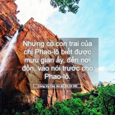 Picture 05 - Công Vụ Các Sứ đồ 23:16 VIE - Nhưng có con trai của chị Phao-lô biết - Bible Verse Picture