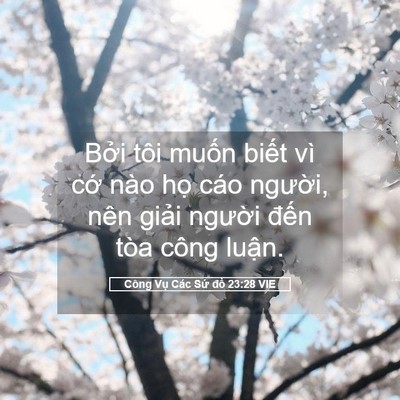 Picture 05 - Công Vụ Các Sứ đồ 23:28 VIE - Bởi tôi muốn biết vì cớ nào họ cáo - Bible Verse Picture
