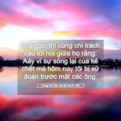 Picture 05 - Công Vụ Các Sứ đồ 24:21 VIE - hoặc có, thì cũng chỉ trách câu tôi - Bible Verse Picture