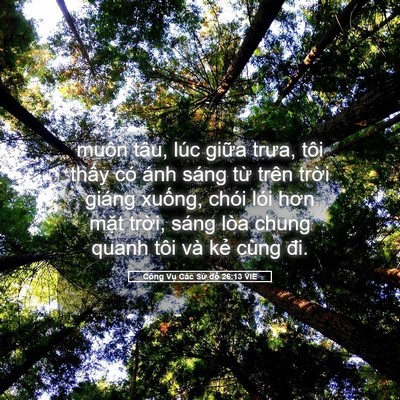 Picture 05 - Công Vụ Các Sứ đồ 26:13 VIE - muôn tâu, lúc giữa trưa, tôi thấy có - Bible Verse Picture