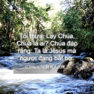 Picture 05 - Công Vụ Các Sứ đồ 26:15 VIE - Tôi thưa: Lạy Chúa, Chúa là ai? Chúa - Bible Verse Picture