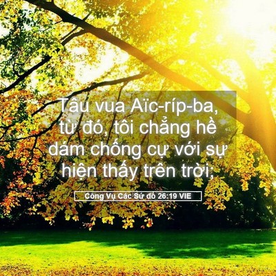 Picture 05 - Công Vụ Các Sứ đồ 26:19 VIE - Tâu vua Aïc-ríp-ba, từ đó, tôi chẳng - Bible Verse Picture