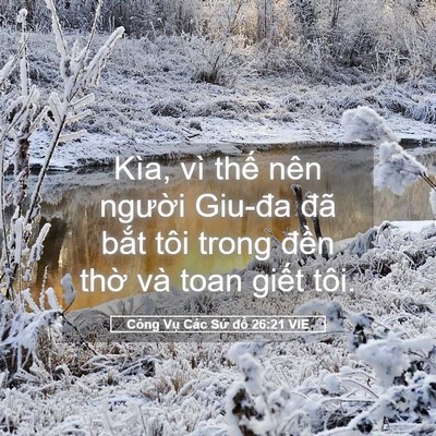 Picture 05 - Công Vụ Các Sứ đồ 26:21 VIE - Kìa, vì thế nên người Giu-đa đã bắt - Bible Verse Picture