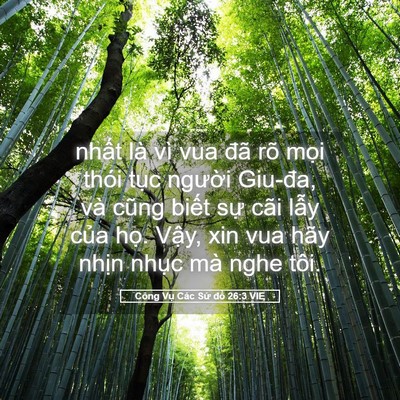 Picture 05 - Công Vụ Các Sứ đồ 26:3 VIE - nhất là vì vua đã rõ mọi thói tục - Bible Verse Picture