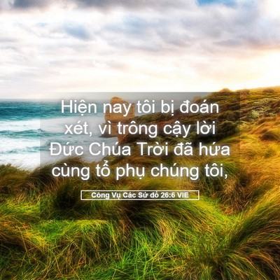 Picture 05 - Công Vụ Các Sứ đồ 26:6 VIE - Hiện nay tôi bị đoán xét, vì trông - Bible Verse Picture