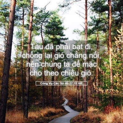 Picture 05 - Công Vụ Các Sứ đồ 27:15 VIE - Tàu đã phải bạt đi, chống lại gió - Bible Verse Picture