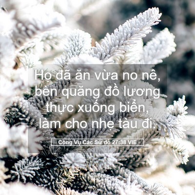 Picture 05 - Công Vụ Các Sứ đồ 27:38 VIE - Họ đã ăn vừa no nê, bèn quăng đồ - Bible Verse Picture