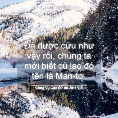 Picture 05 - Công Vụ Các Sứ đồ 28:1 VIE - Đã được cứu như vậy rồi, chúng ta - Bible Verse Picture