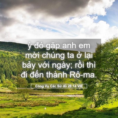 Picture 05 - Công Vụ Các Sứ đồ 28:14 VIE - ỳ đó gặp anh em mời chúng ta ở lại - Bible Verse Picture