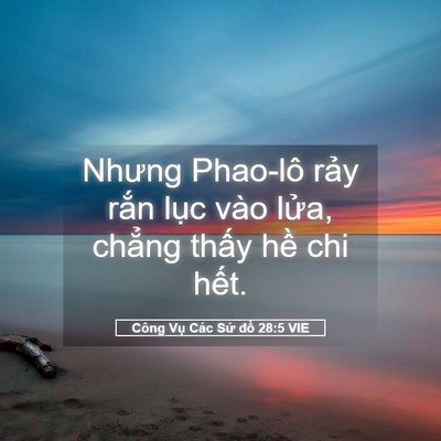 Picture 05 - Công Vụ Các Sứ đồ 28:5 VIE - Nhưng Phao-lô rảy rắn lục vào lửa, - Bible Verse Picture