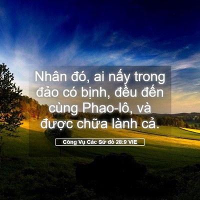 Picture 05 - Công Vụ Các Sứ đồ 28:9 VIE - Nhân đó, ai nấy trong đảo có bịnh, - Bible Verse Picture