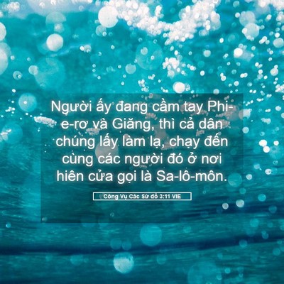 Picture 05 - Công Vụ Các Sứ đồ 3:11 VIE - Người ấy đang cầm tay Phi-e-rơ và - Bible Verse Picture