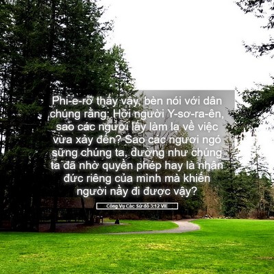 Picture 05 - Công Vụ Các Sứ đồ 3:12 VIE - Phi-e-rơ thấy vậy, bèn nói với dân - Bible Verse Picture