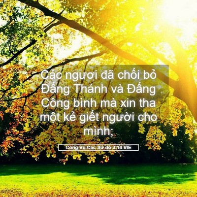 Picture 05 - Công Vụ Các Sứ đồ 3:14 VIE - Các ngươi đã chối bỏ Đấng Thánh và - Bible Verse Picture