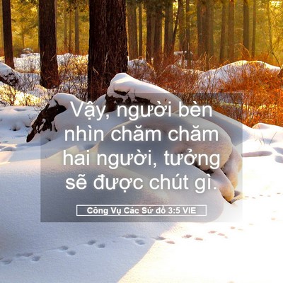 Picture 05 - Công Vụ Các Sứ đồ 3:5 VIE - Vậy, người bèn nhìn chăm chăm hai - Bible Verse Picture