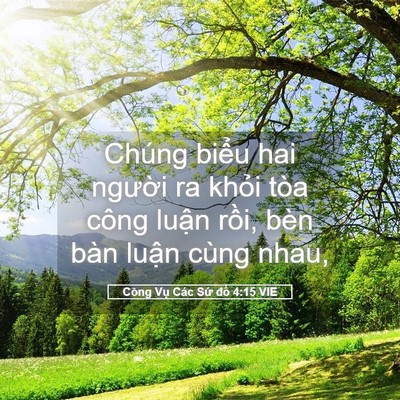 Picture 05 - Công Vụ Các Sứ đồ 4:15 VIE - Chúng biểu hai người ra khỏi tòa công - Bible Verse Picture